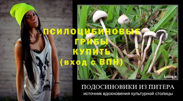 spice Осташков