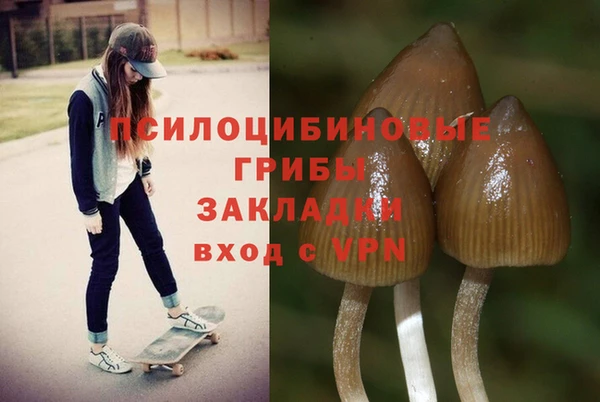 дмт Переславль-Залесский