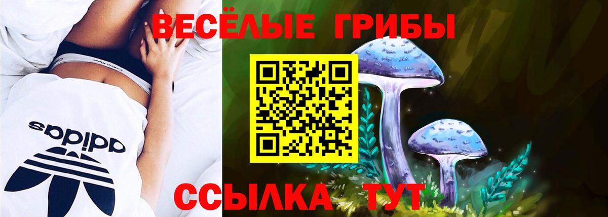 Псилоцибиновые грибы Psilocybine cubensis Кушва