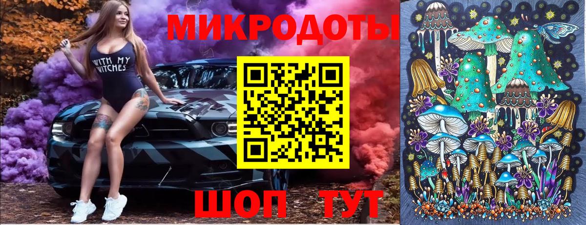 Галлюциногенные грибы Psilocybe Кушва