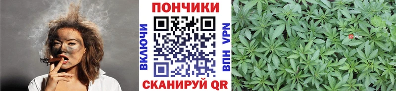 Каннабис гибрид  Кушва 